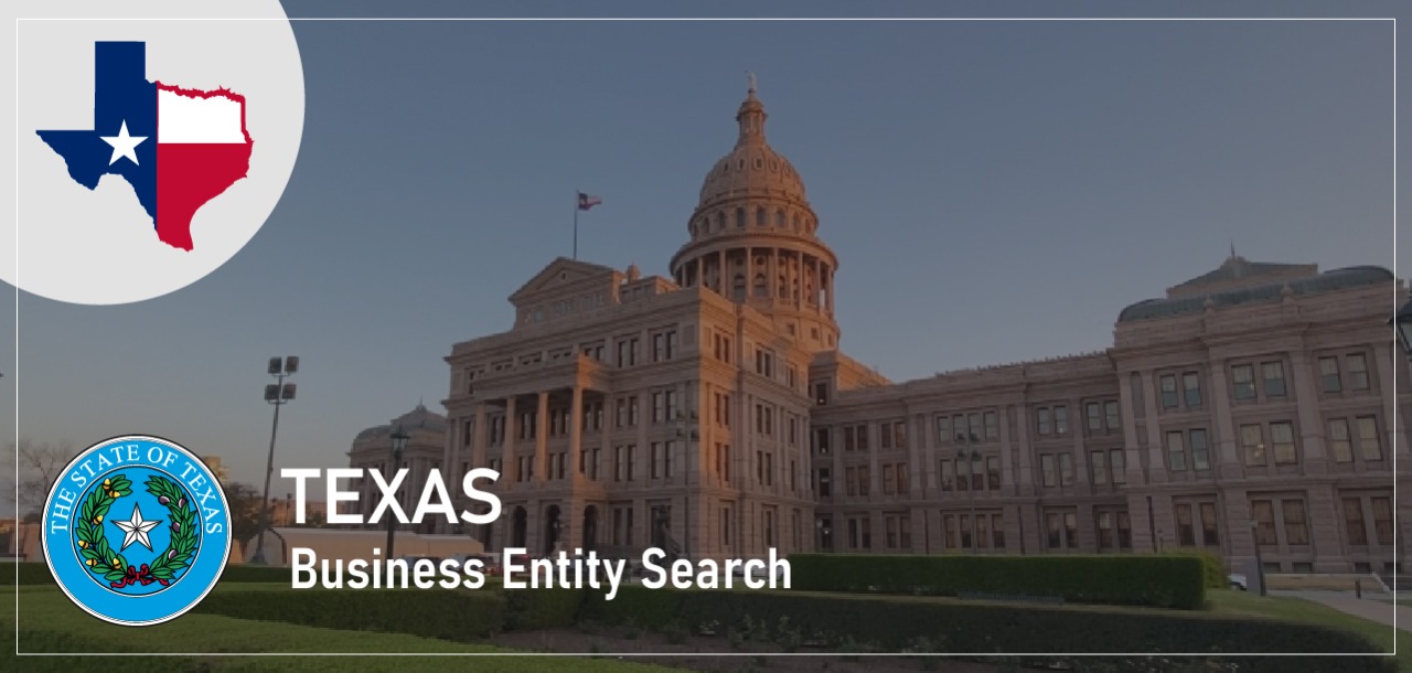 texas business entity search